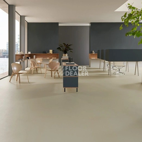 Forbo Marmoleum Decibel on Order 337835 stucco фото 2 | FLOORDEALER